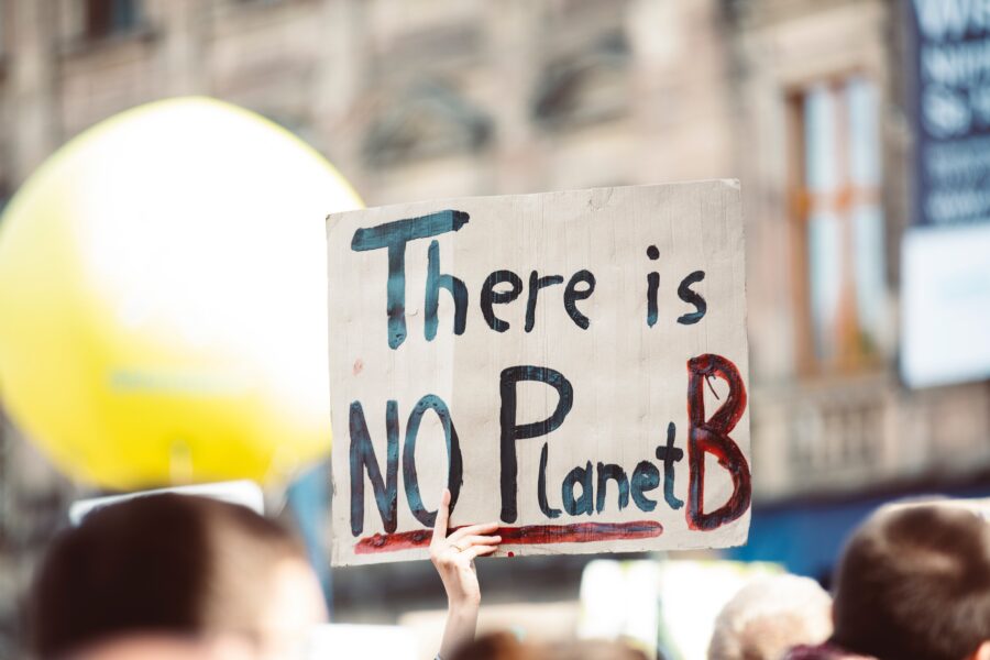 A protester carries a cardboard sign that reads "there is no planet B"