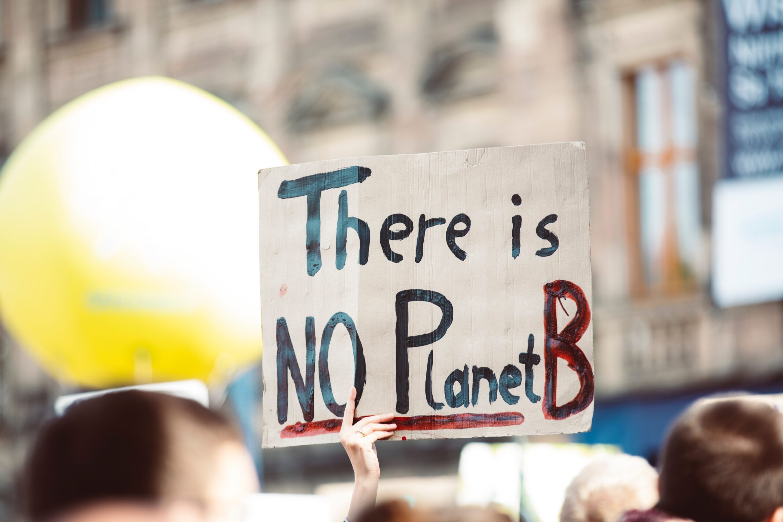 A protester carries a cardboard sign that reads "there is no planet B"
