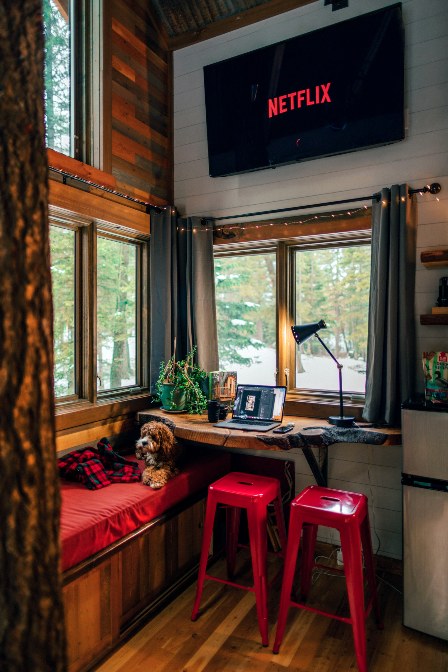 A dog sits on a red bench window seat cushion, with a TV screen showing Netflix visible above, and a computer laptop open on a desk with two red bar stools.