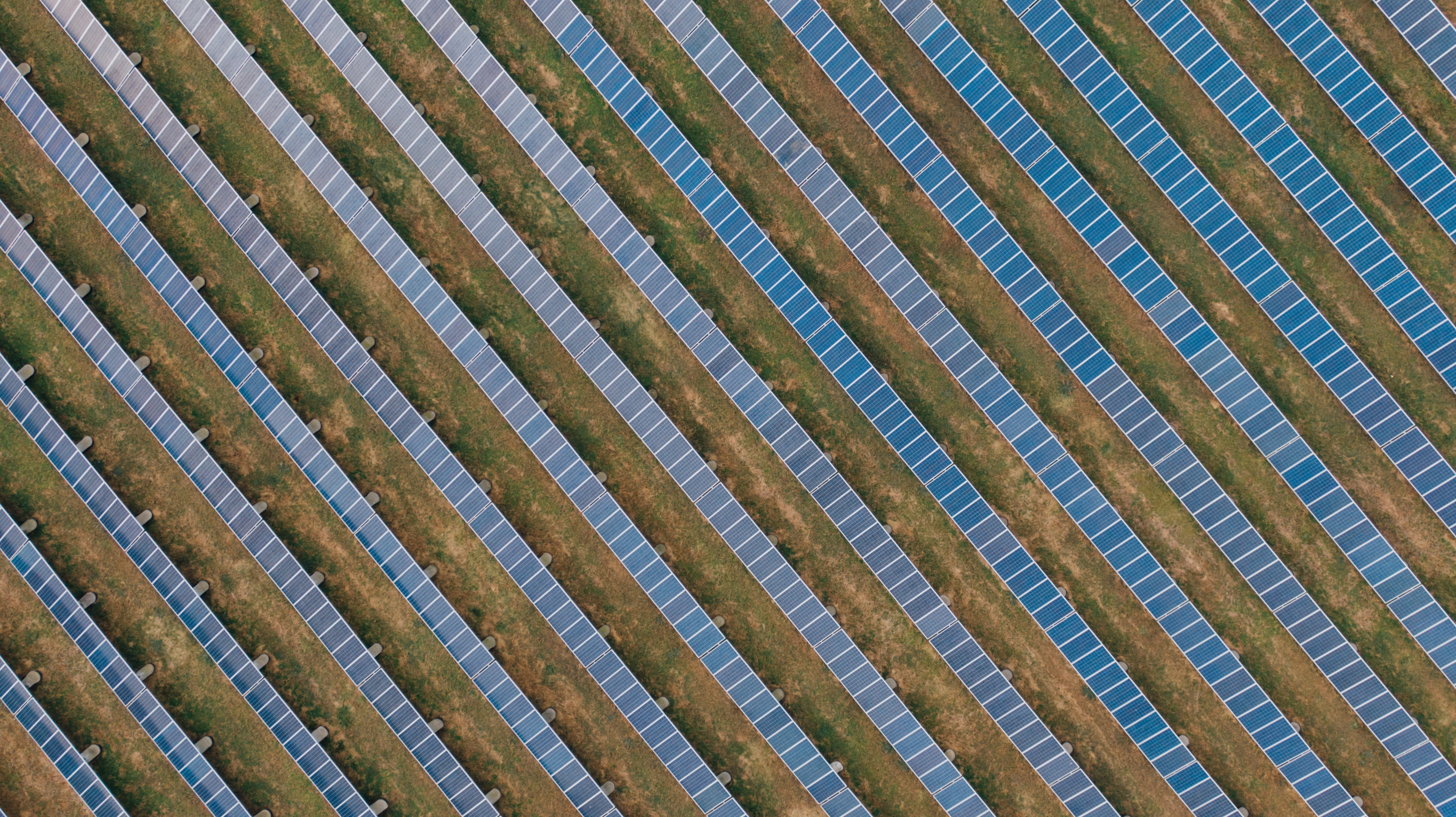 A bird's eye view of a community solar farm. Monthly billing, easy savings.