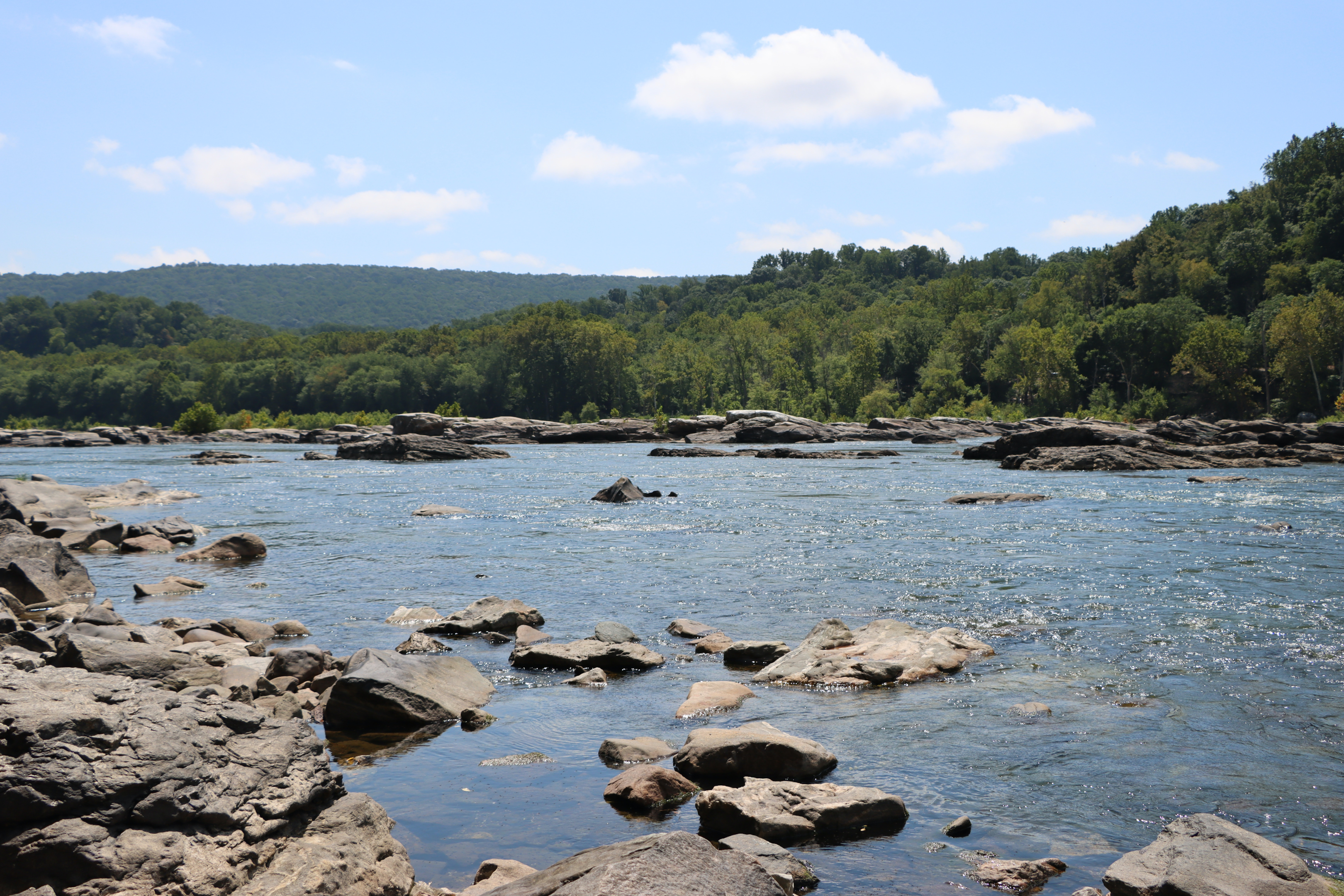 Let's team up and protect the water quality of the Potomac River together.