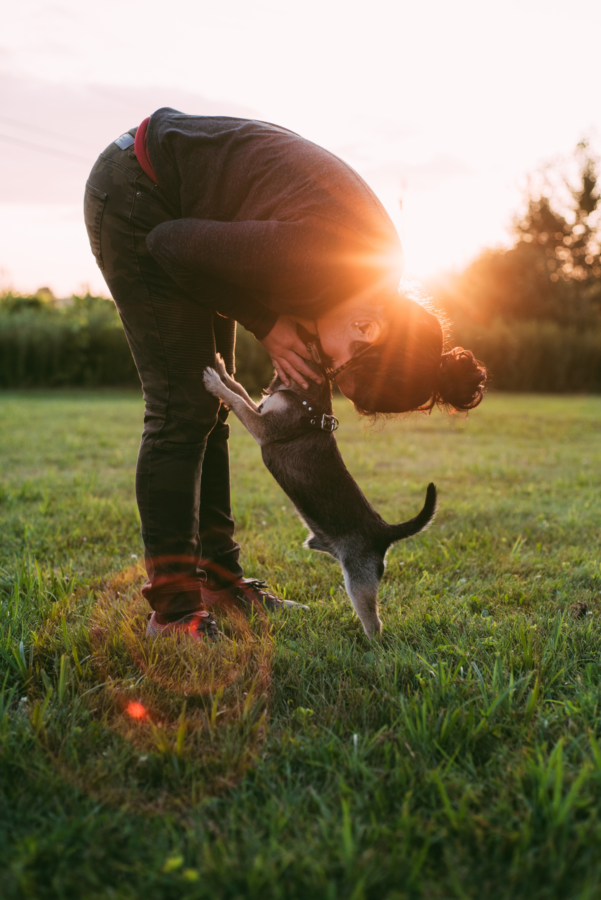 A woman bends down to hug her dog in the green grass, as the sun shines in the background.